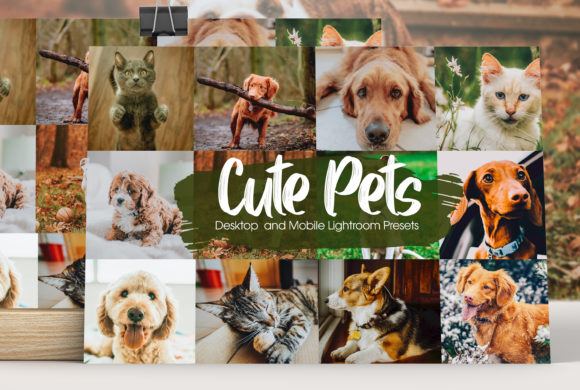 Download Cute Pets Lightroom Presets - Pet Collection